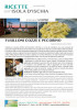 fusilloni-cozze-e-pecorino