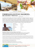 parmigiana-di-pesce-bandiera--melenzane-e-provola