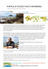 tortello-cozze-fave-e-mandorle