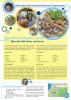 gnocchi-con-vongole-e-pesto