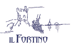logo fortino
