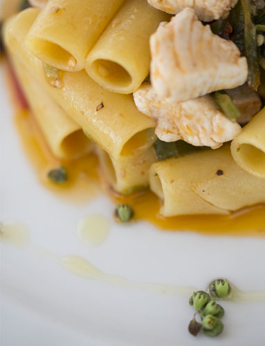 Zitoni di Gragnano con pesce azzuro