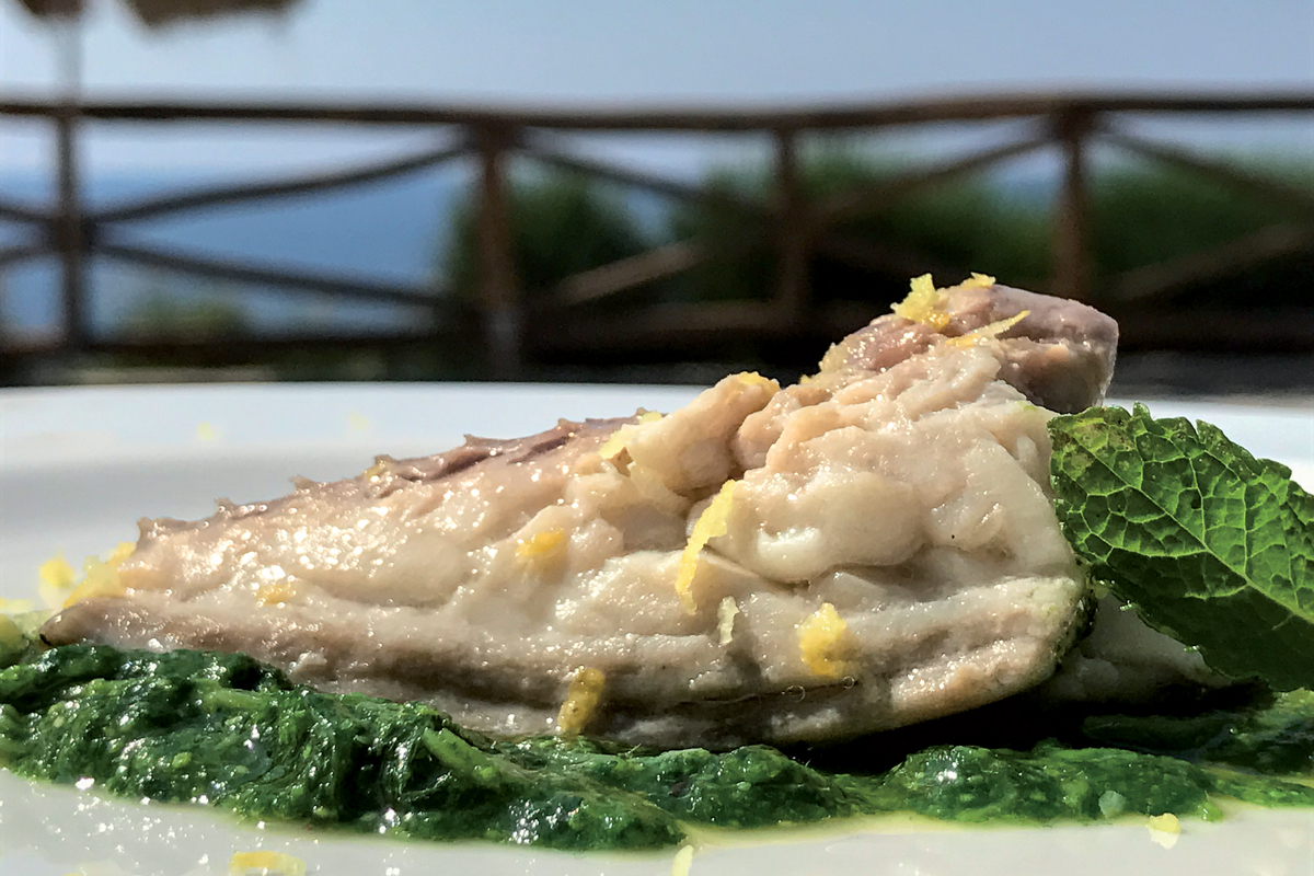 Filetto di sgombro agrumato su pesto di ortiche