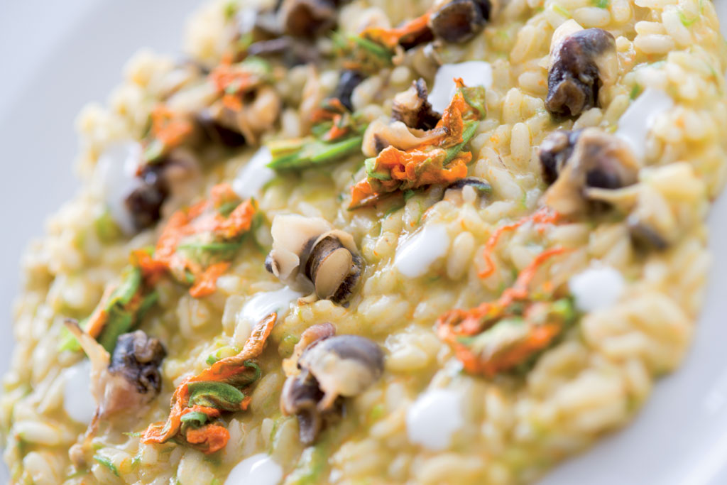 Risotto sconcigli fiori di zucca e yogurt di bufala